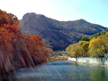 澳门二四六天天彩图库，泛目录大神